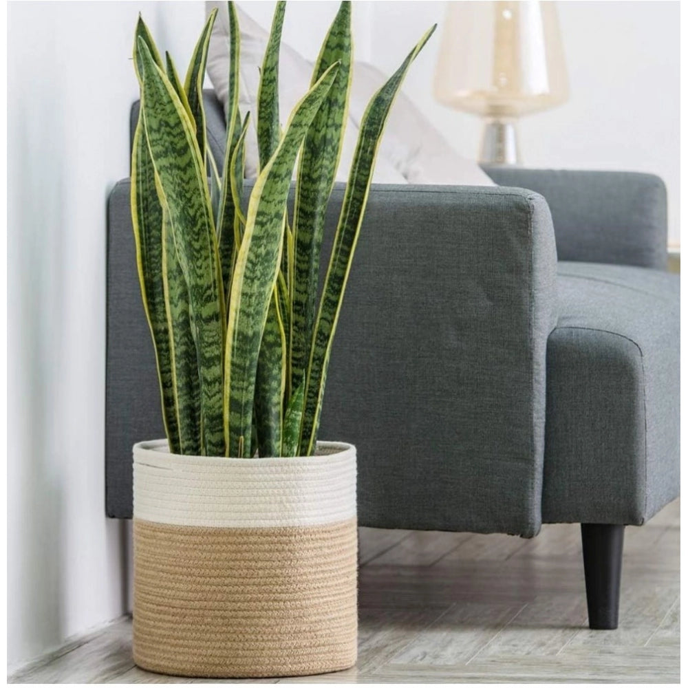 Cotton Large Woven Storage Basket 11x11 Inch Pack of 1 (Beige White)