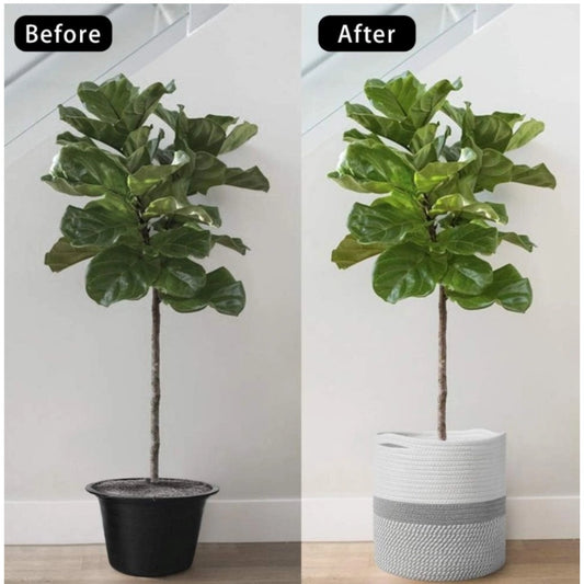 Cotton Large Woven Storage Basket 11x11 Inch Pack of 1 (Grey White)