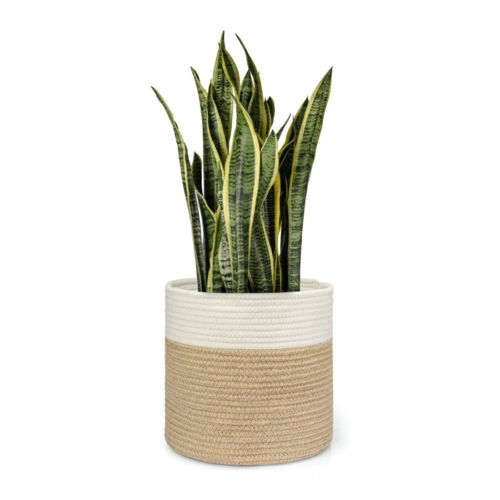 Cotton Large Woven Storage Basket 11x11 Inch Pack of 1 (Beige White)